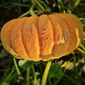 Give Thanks Etched Pumpkin