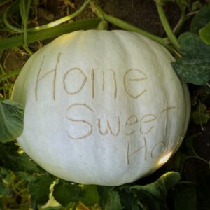 Home Sweet Home Etched Pumpkin