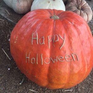 Happy Halloween Etched Pumpkin