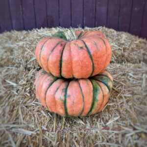 Speckled Hound Pumpkin