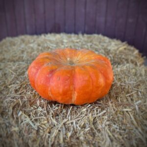 Cinderella Pumpkin
