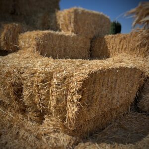 Hay Bales