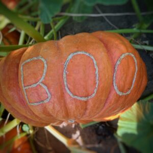 Boo Etched Pumpkin